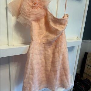 Anthropologie Blush One-Shoulder Dress